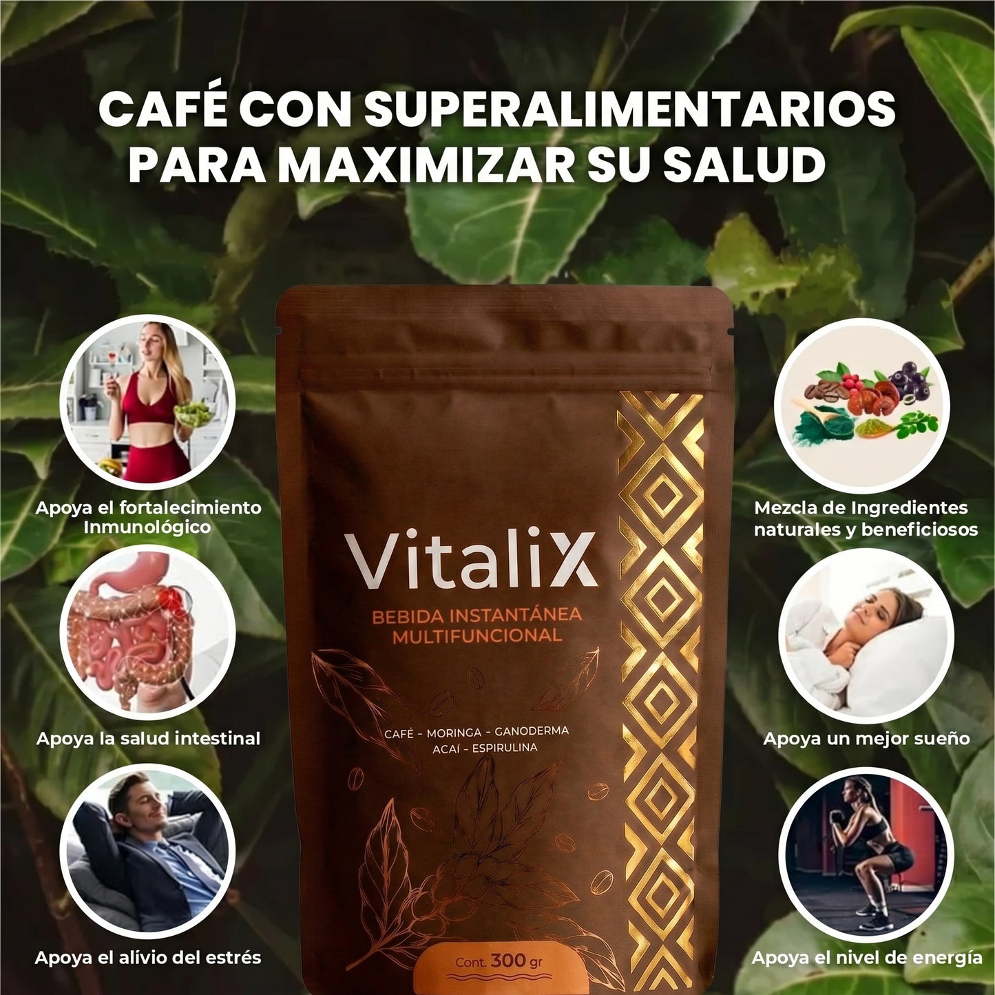 VITALIX - Bebida Funcional con superalimentos